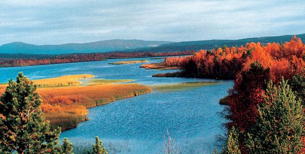 Река Паз (Патсойоки) – граница России и Норвегии